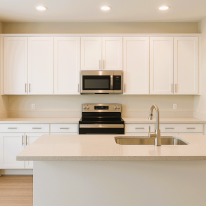 Standard Kitchen Features & Builder-Grade Options